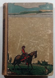 Střílející blázen