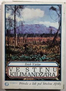 Ve stínu Kilimandžára
