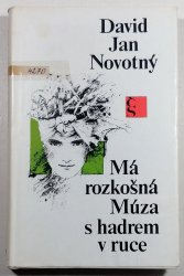 Má rozkošná Múza s hadrem v ruce - 