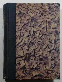 Nevěra / Opium