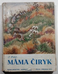 Máma Čiryk