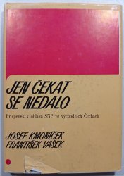 Jen čekat se nedalo - 