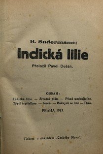 Indická lilie