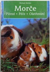 Morče - 