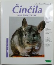 Činčila jako domácí zvíře - 