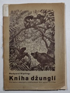 Kniha džunglí