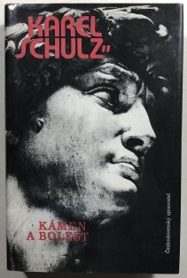 Kámen a bolest