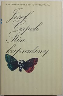 Stín kapradiny