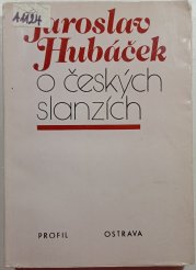 O českých slanzích - 