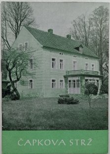 Čapkova strž