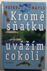 Kromě sňatku uvážím cokoli! - 