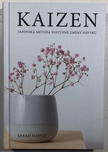 Kaizen - Japonská metoda postupné změny návyků