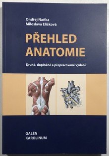 Přehled anatomie