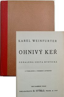 Ohnivý keř