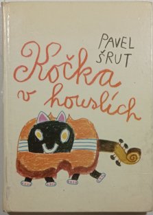 Kočka v houslích