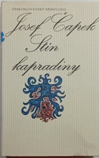 Stín kapradiny