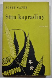 Stín kapradiny - 