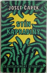 Stín kapradiny - 