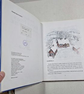 Kocour Fiškus a vánoční skřítek