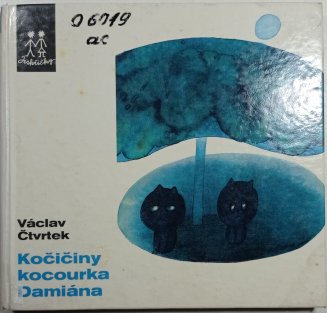 Kočičiny kocourka Damiána
