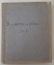 Syn severu a jihu (díl I. a II.) - Romantický obraz z revoluce v Paříži 1848