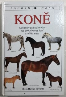Koně