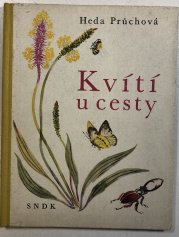 Kvítí u cesty - 