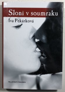 Sloni v soumraku