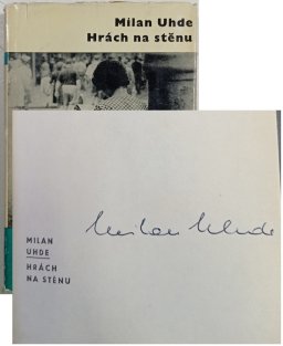 Hrách na stěnu