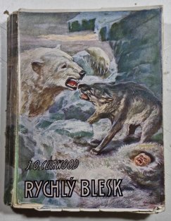 Rychlý blesk