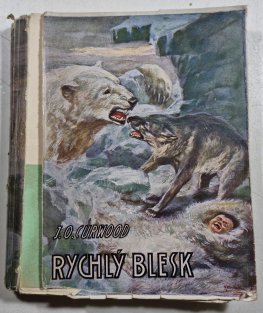 Rychlý blesk