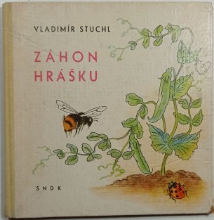 Záhon hrášku