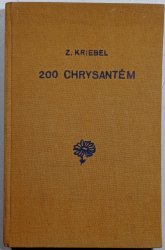 200 chrysantém - 