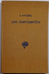 200 chrysantém