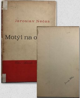 Motýl na okně
