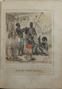 Neues Buch der Reisen - Bunte Bilder aus der Natur und dem Menschenleben
