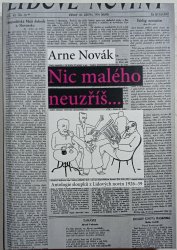 Nic malého neuzříš...Antologie sloupků z Lidových novin 1926-39 - 