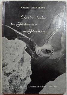 Aus dem Leben der Fledermäuse und Flughunde