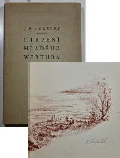 Utrpení mladého Werthera