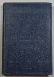 Paprslek slunce - 