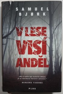 V lese visí anděl