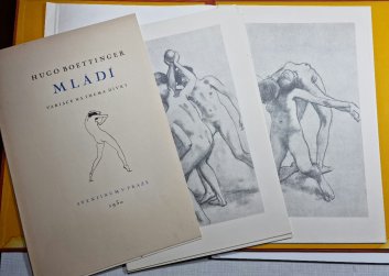 Mládí - Variace na thema dívky