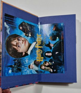Harry Potter a kámen mudrců