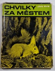 Chvilky za městem - 