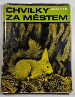 Chvilky za městem
