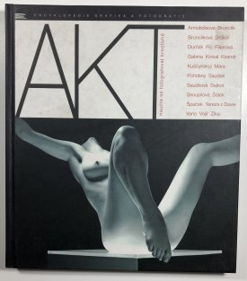 Akt - naučte se fotografovat kreativně