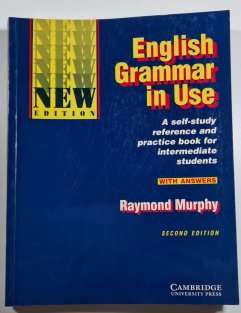 English Grammar in Use with answers 