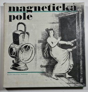Magnetická pole