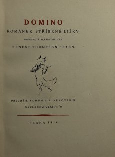Domino