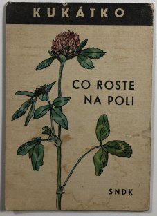 Kukátko - Co roste na poli